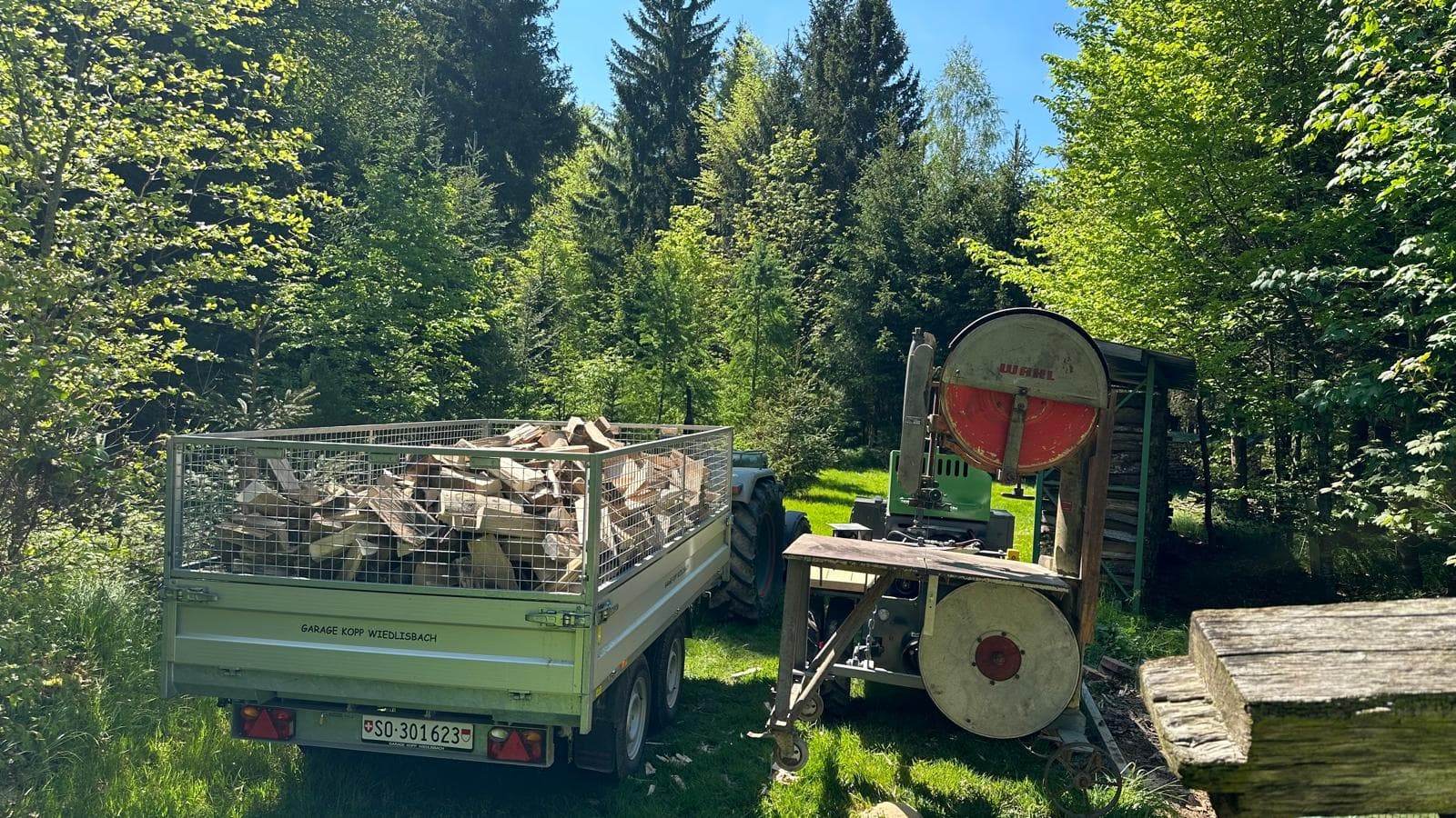 Wald von Brennholz Lüthi
