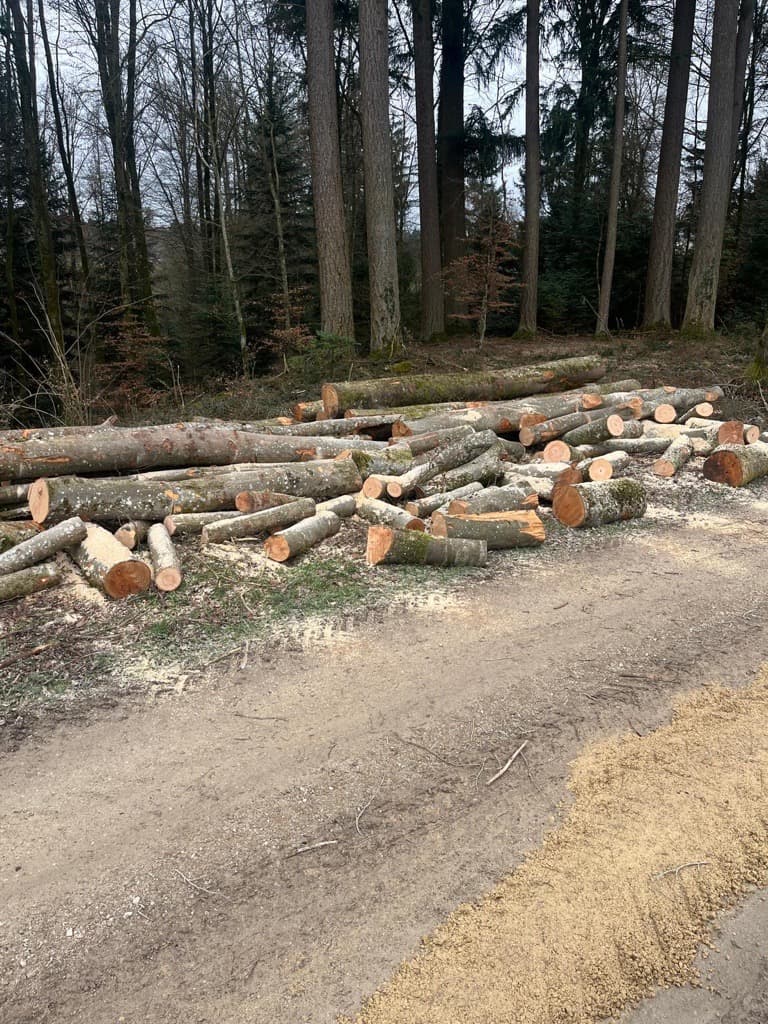 Gestapeltes Brennholz von Brennholz Lüthi