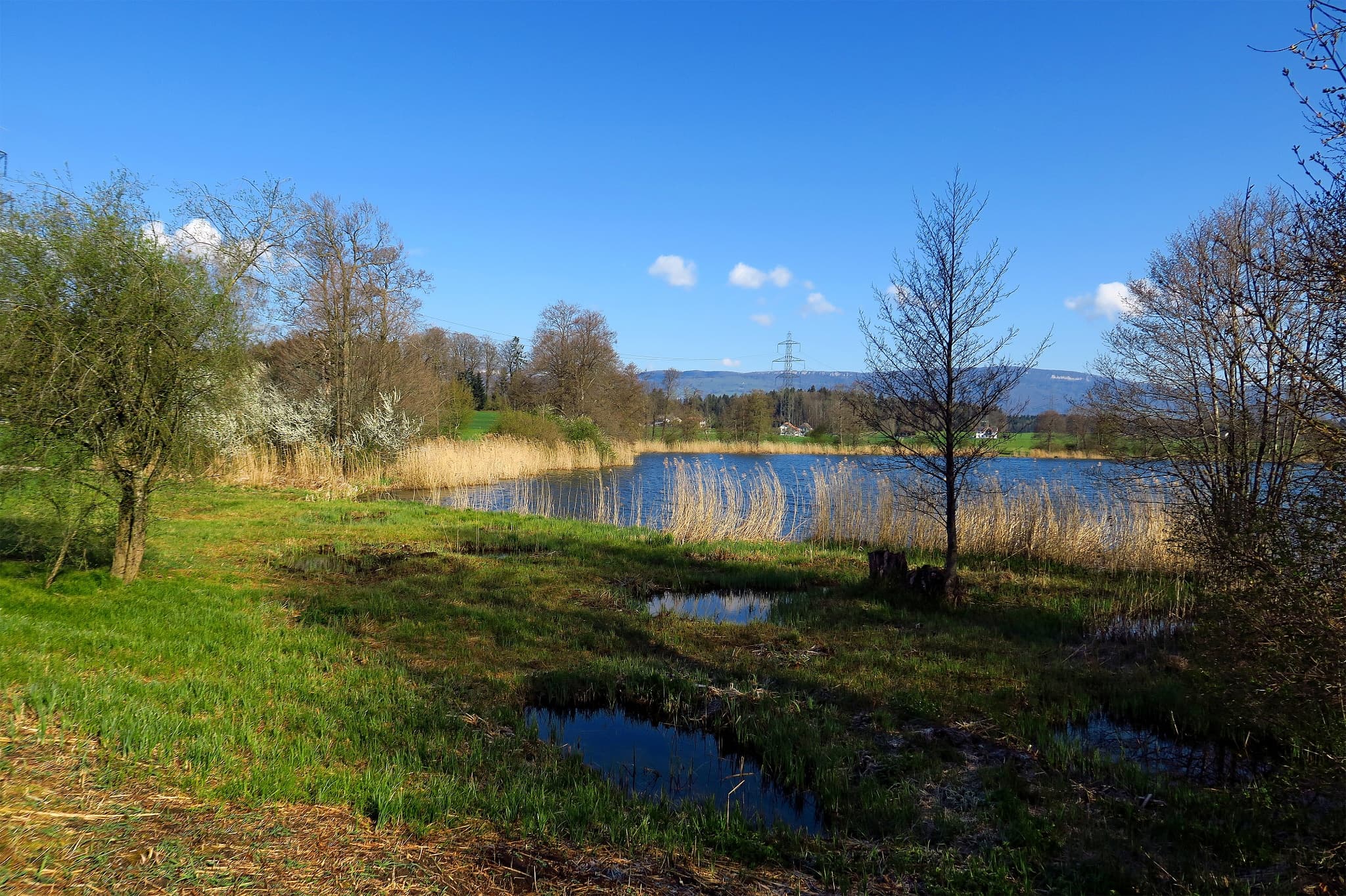Landschaft im Oberaargau